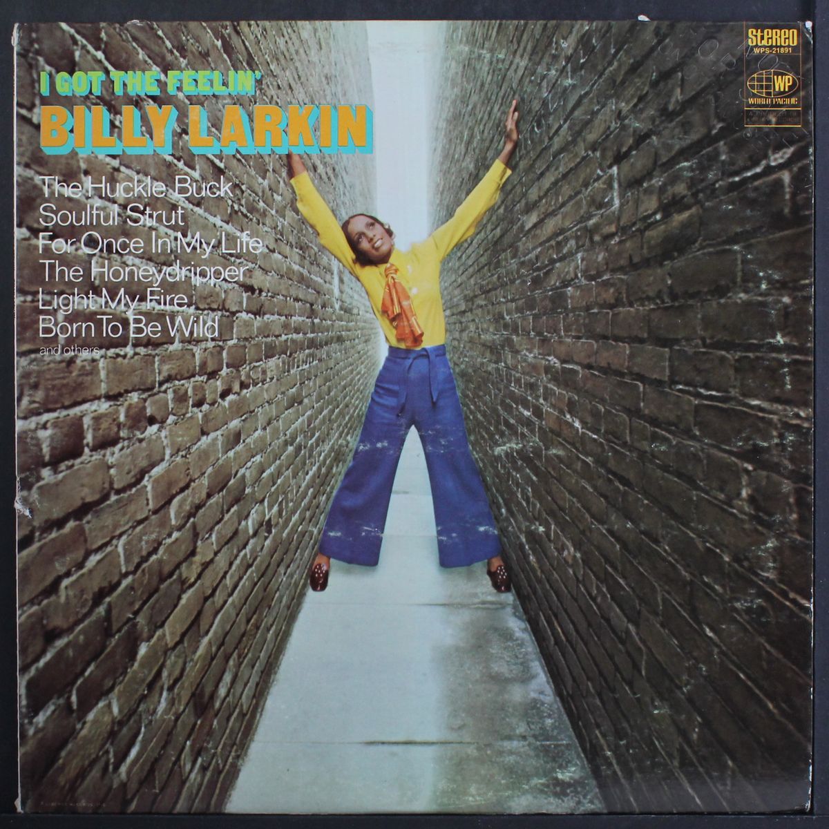 i got the feelin' by BILLY LARKIN