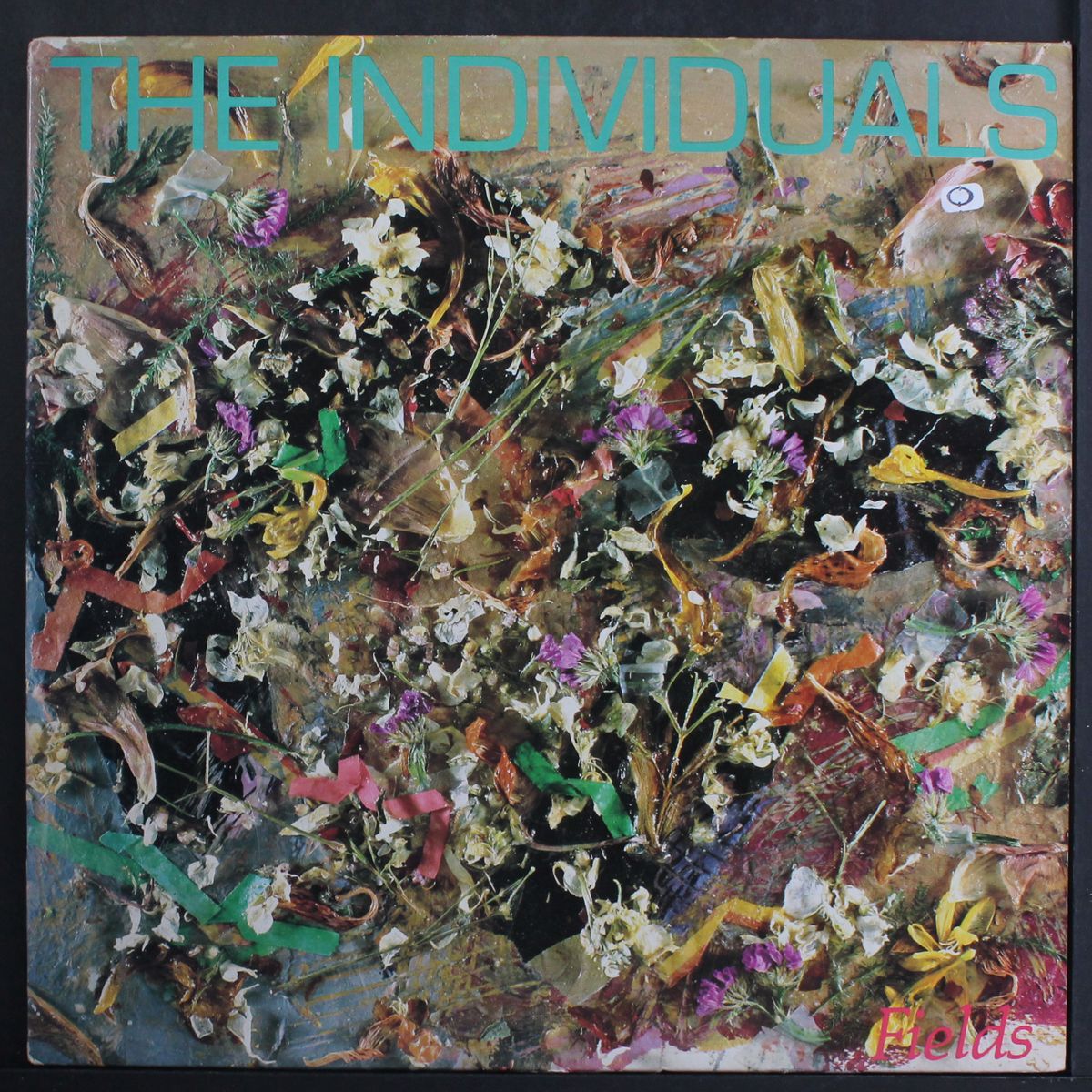 fields by INDIVIDUALS