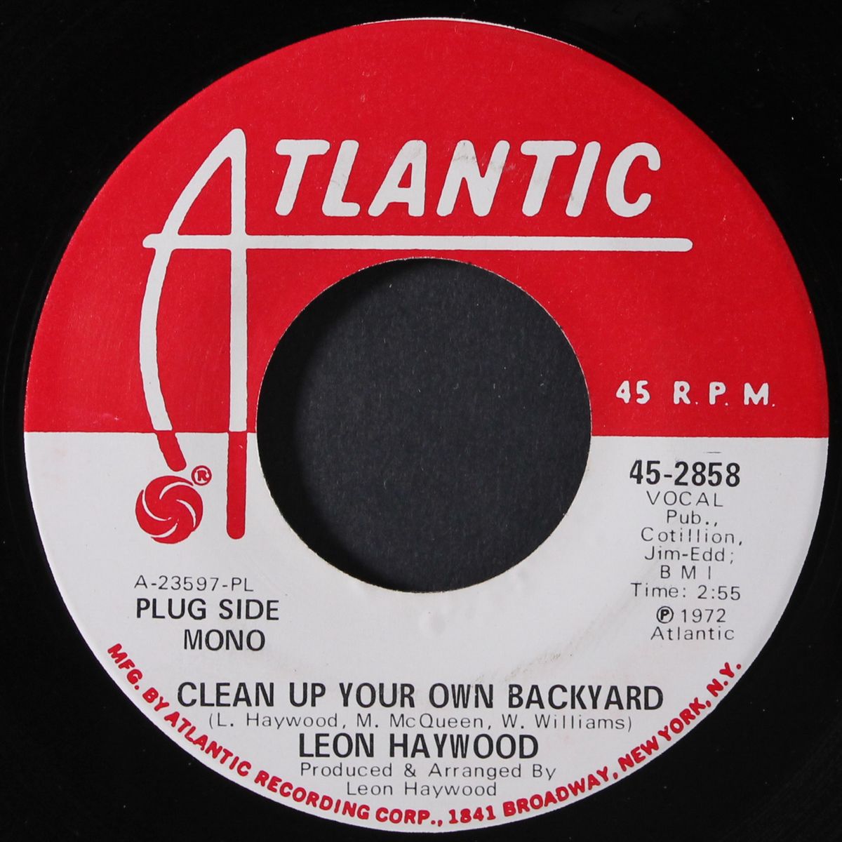 clean up your own backyard / mono by LEON HAYWOOD