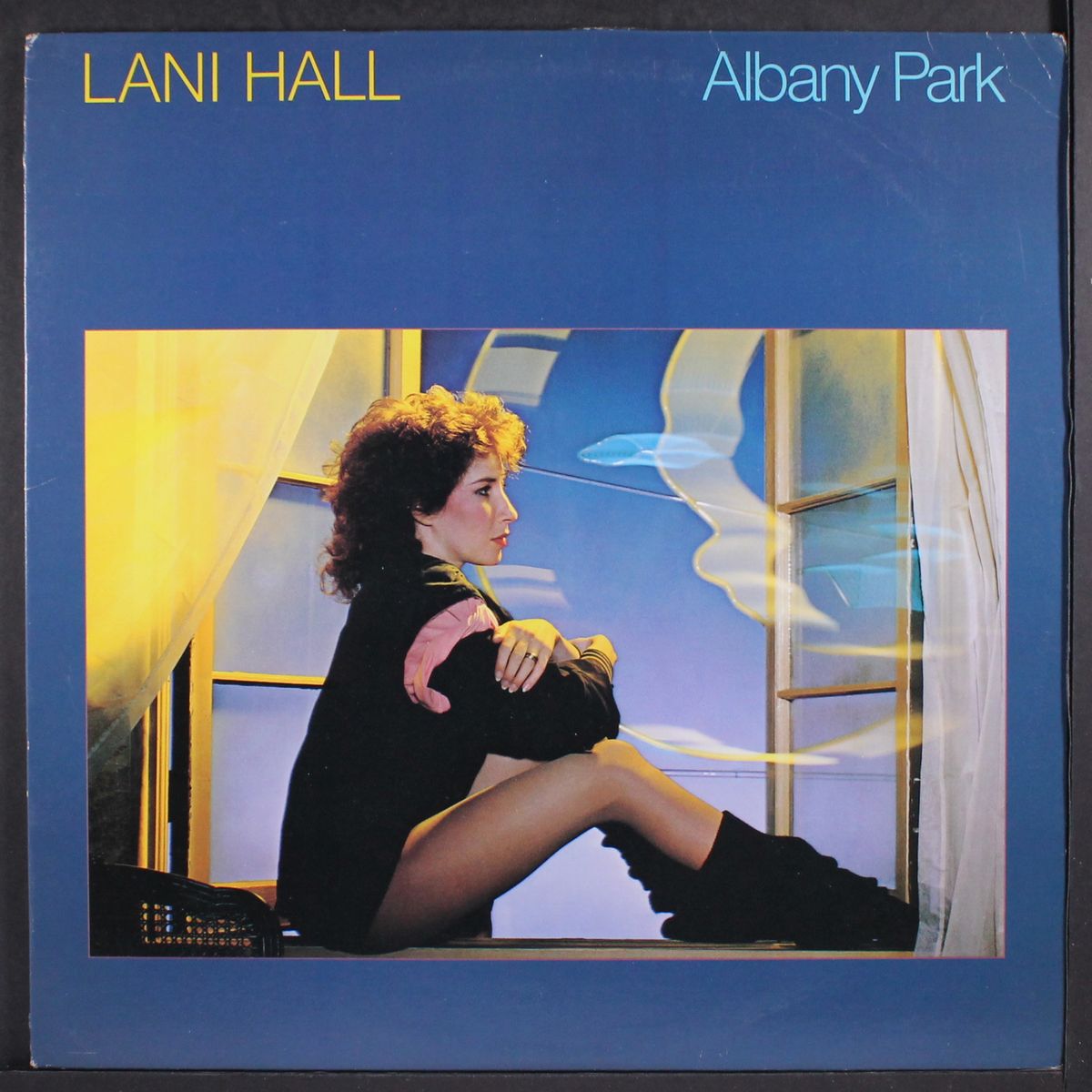 albany park by LANI HALL
