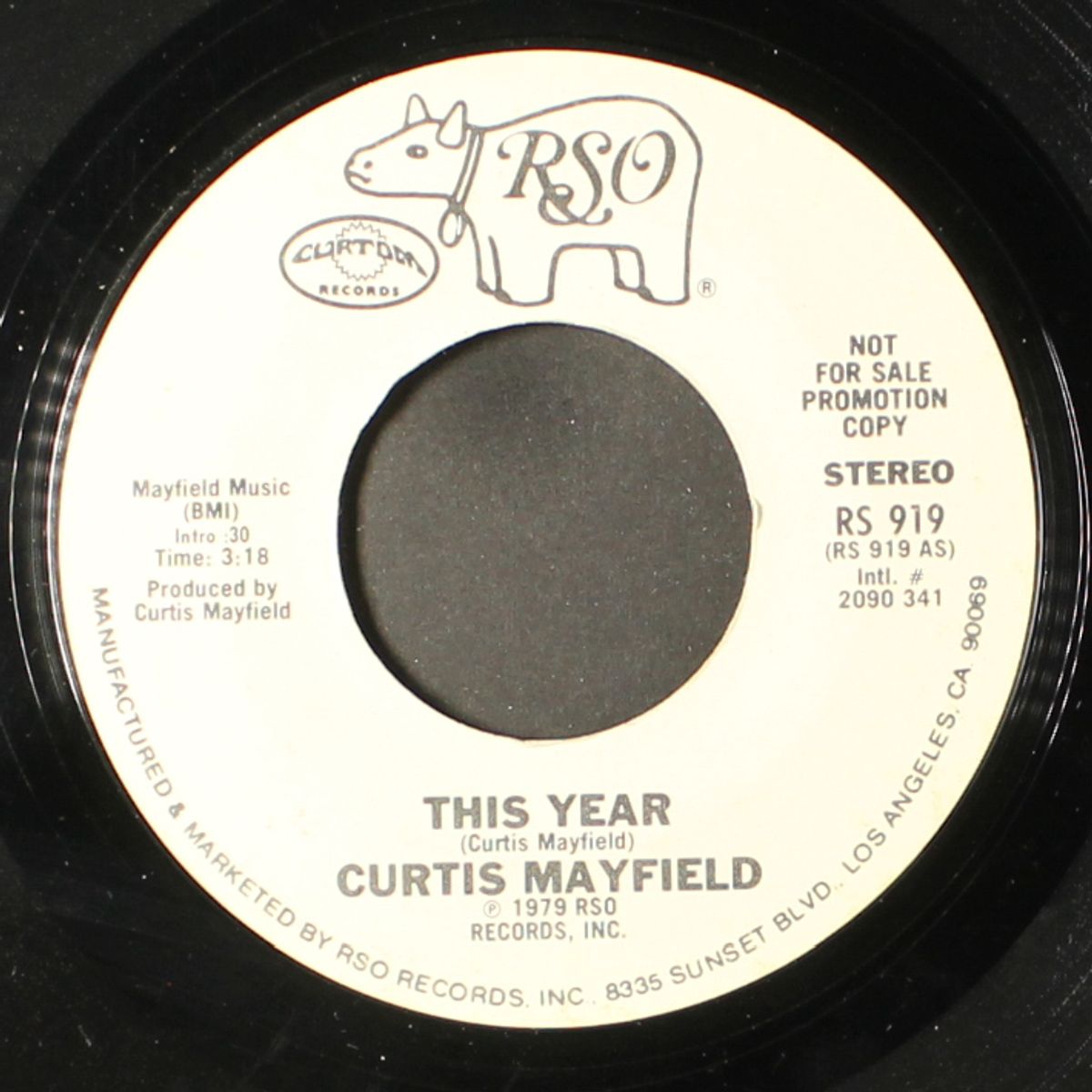 this year / mono by CURTIS MAYFIELD