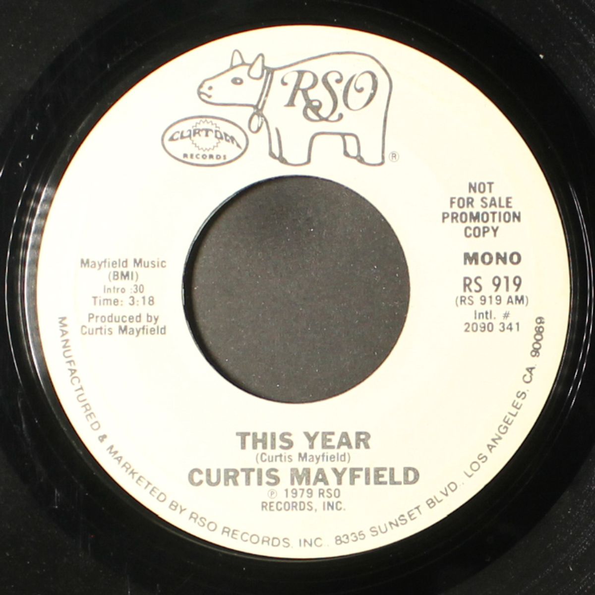 this year / mono by CURTIS MAYFIELD
