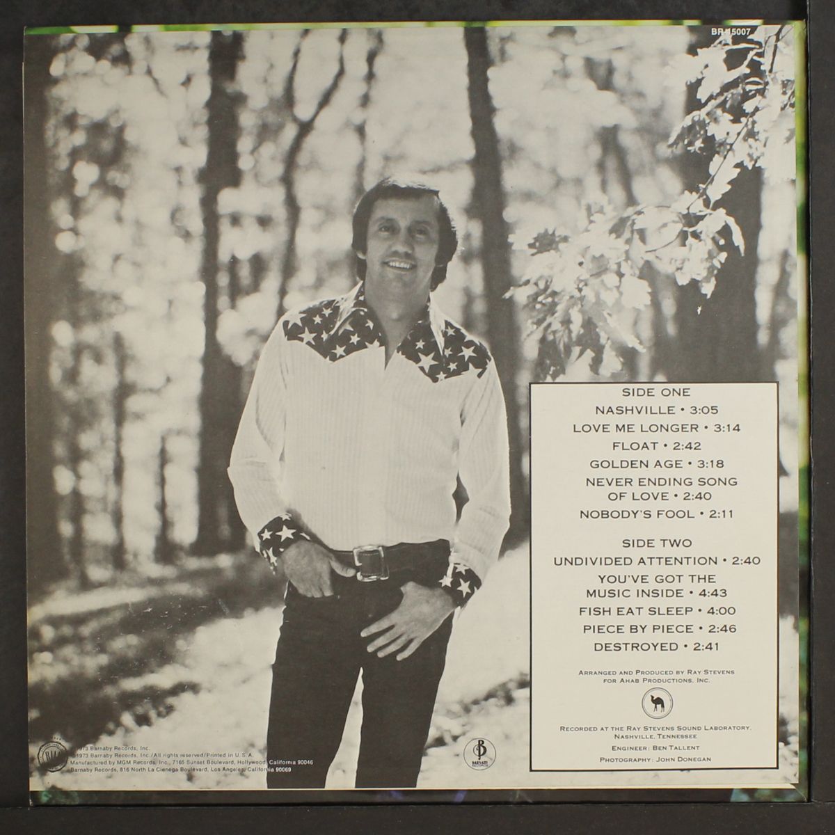 nashville by RAY STEVENS