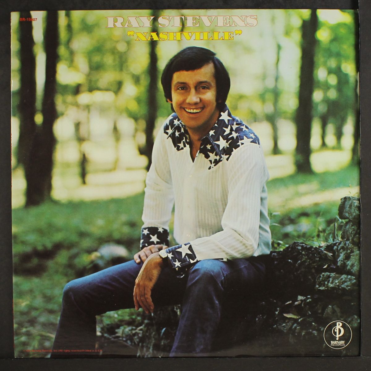 nashville by RAY STEVENS