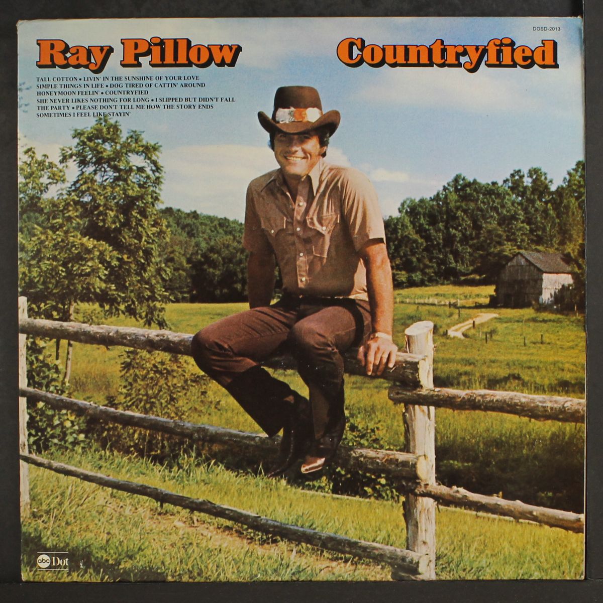 countryfied by RAY PILLOW