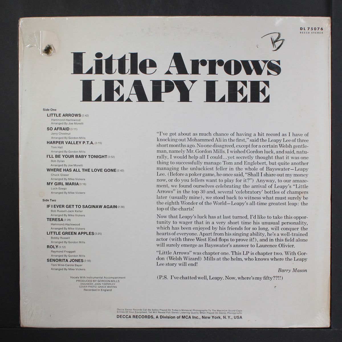 little arrows by LEAPY LEE