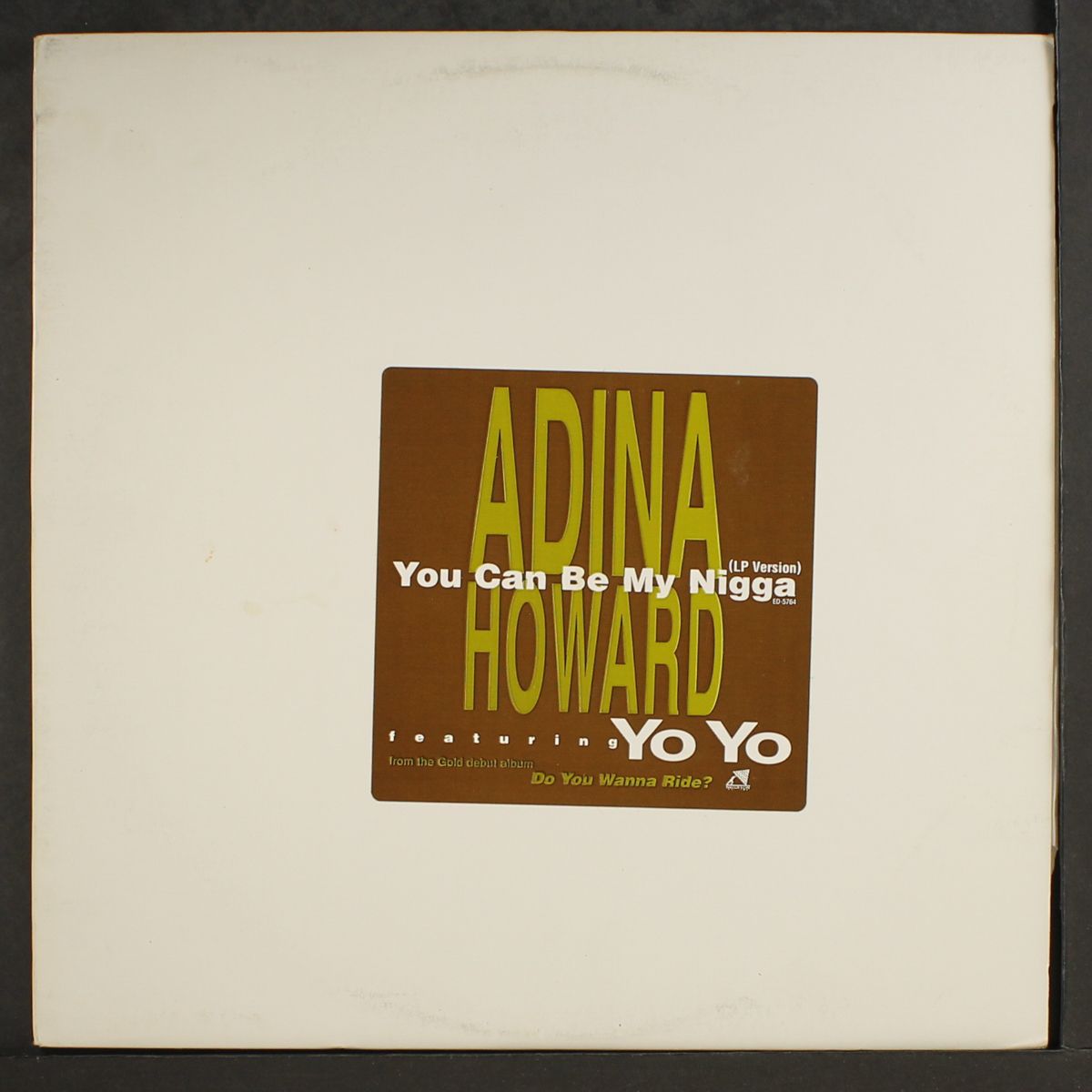 you can be my n*gga by ADINA HOWARD