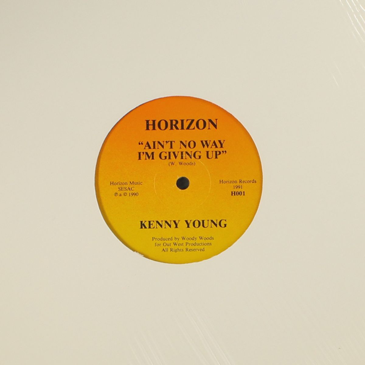 ain't no way i'm giving up by KENNY YOUNG