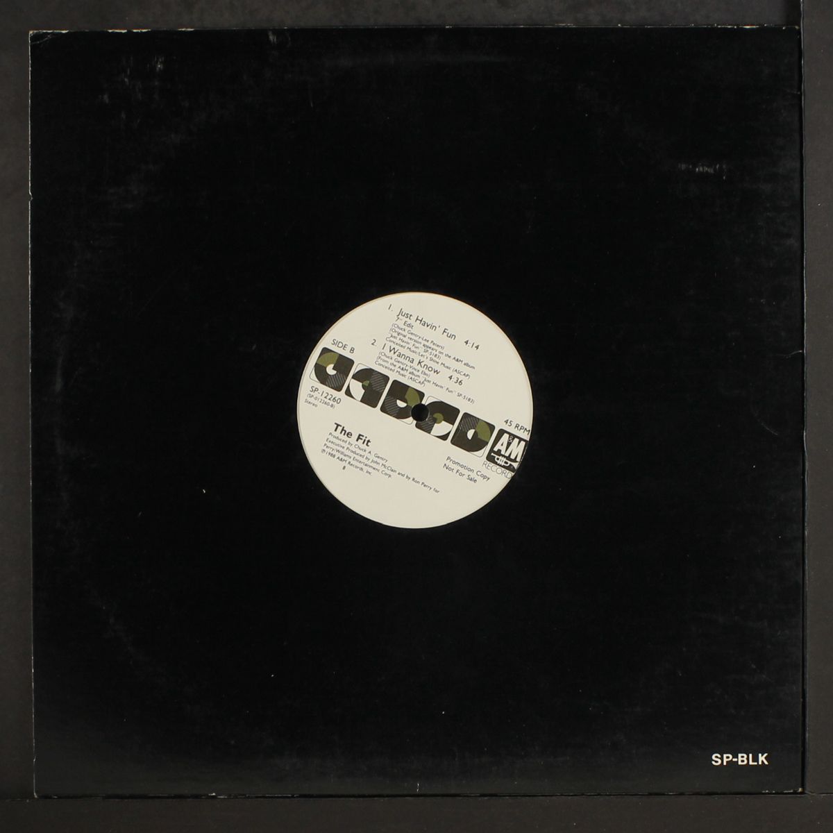 just havin' fun / i wanna know by FIT