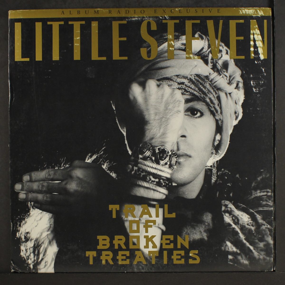 trail of broken treaties by LITTLE STEVEN & DISCIPLES OF SOUL