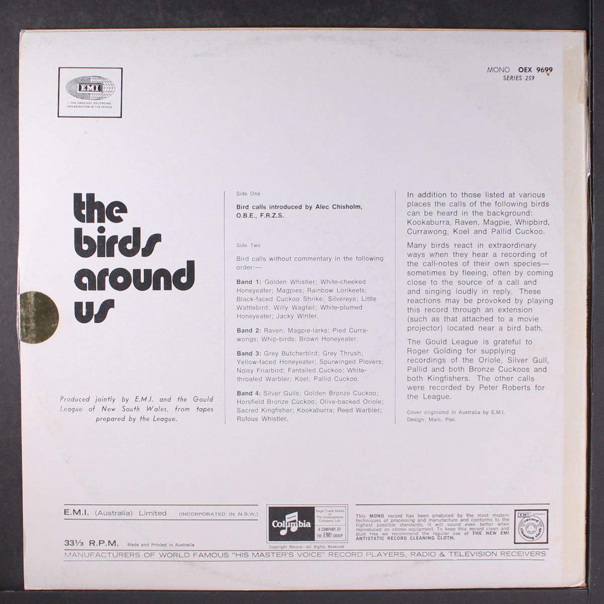 the birds around us by NONE