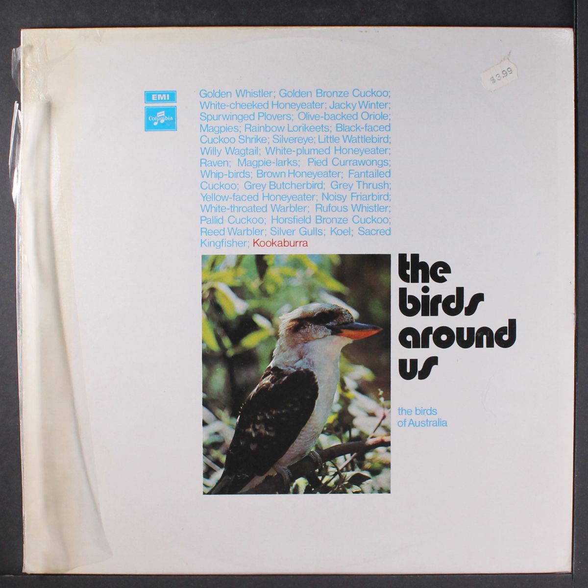 the birds around us by NONE