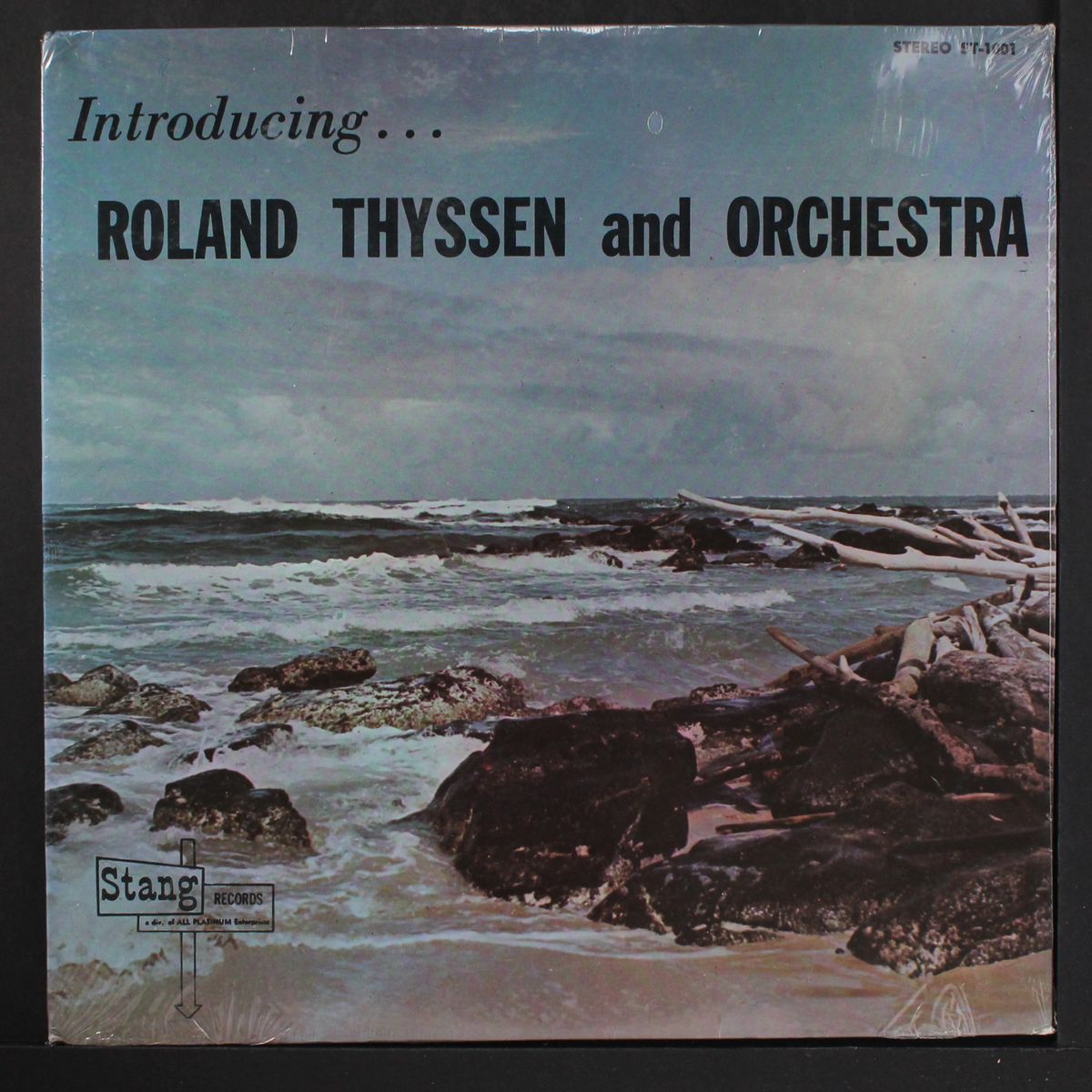 introducing... by ROLAND THYSSEN & ORCHESTRA