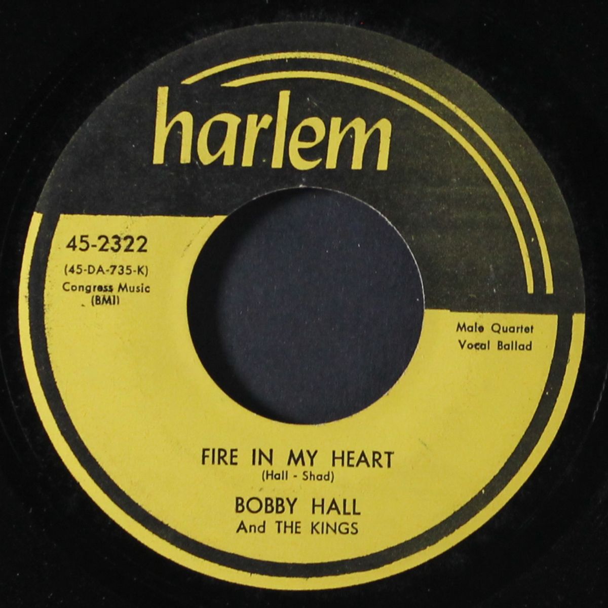 fire in my heart / you never knew by BOBBY HALL & KINGS