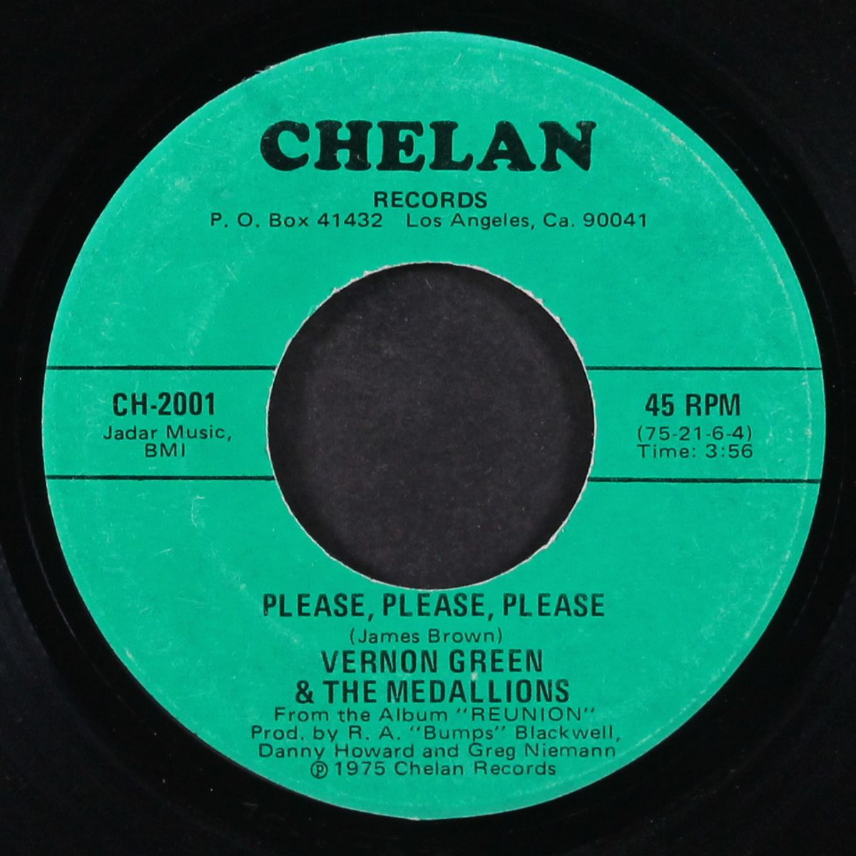 hi-heel sneakers / please please please by VERNON GREEN