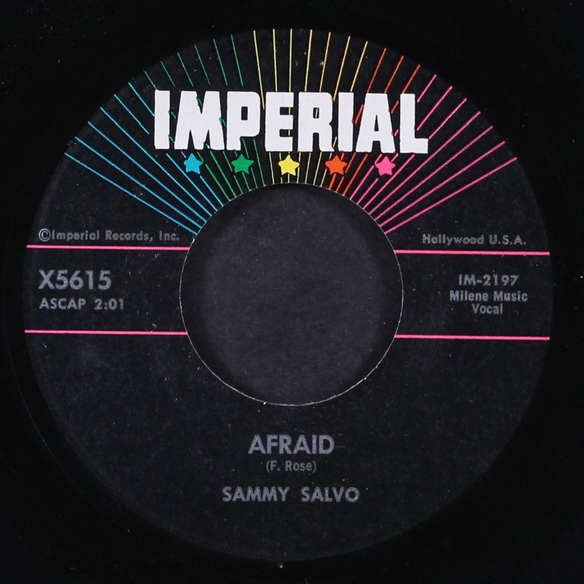 afraid / marble heart by SAMMY SALVO