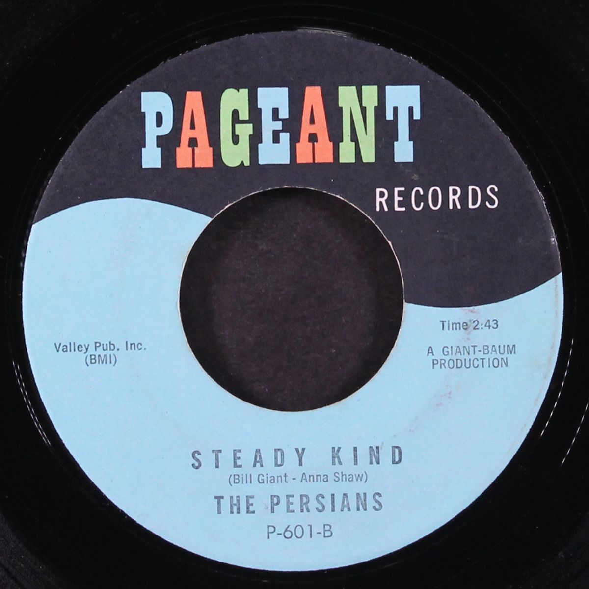 get a hold of yourself / steady kind by PERSIANS