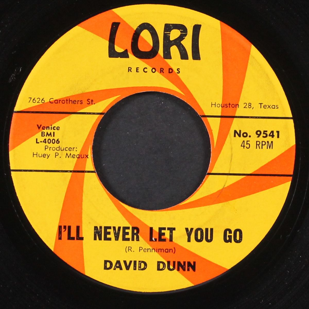 i'll never let you go by DAVID DUNN