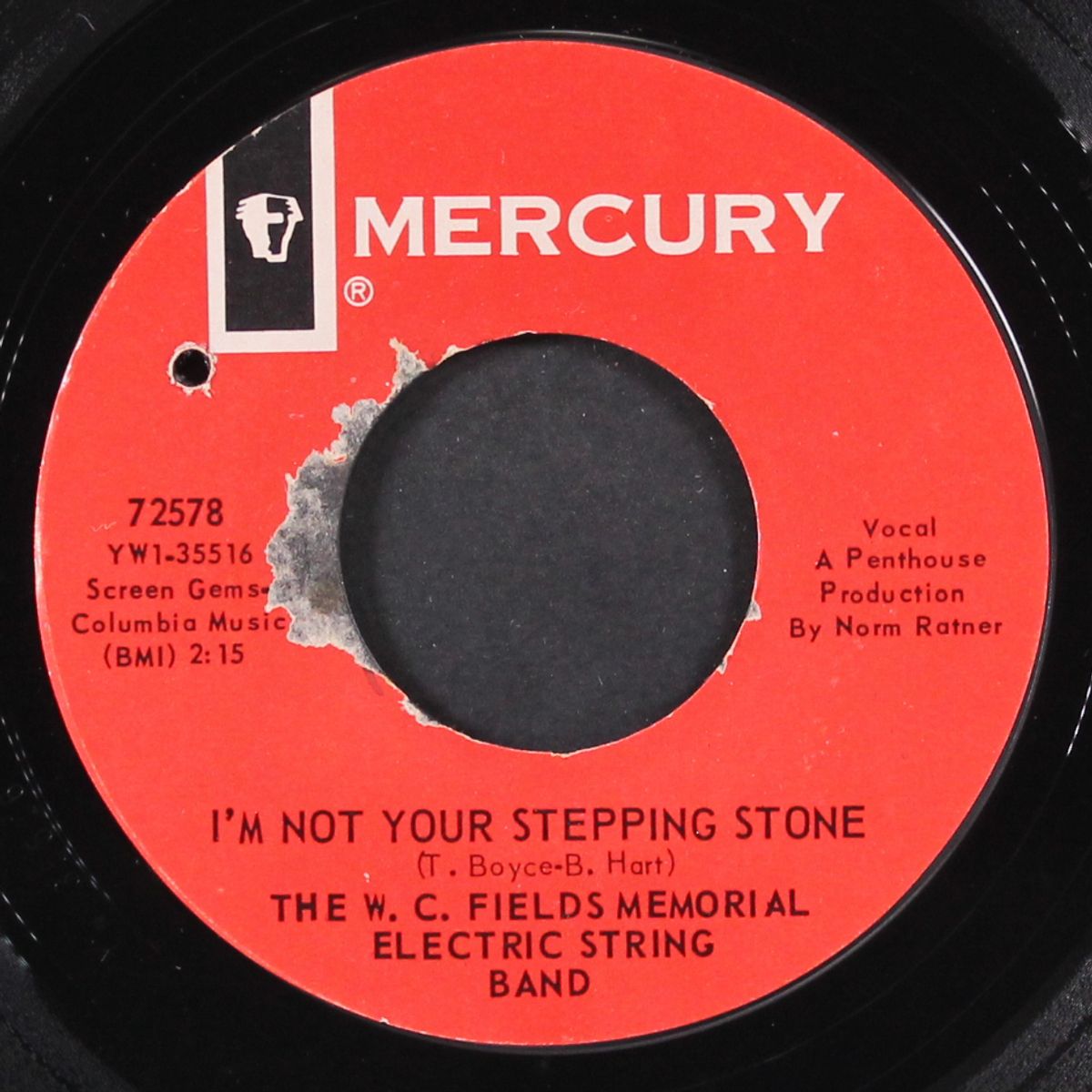 i'm not your stepping stone / round world by W.C. FIELDS MEMORIAL ELECTRIC STRING BAN