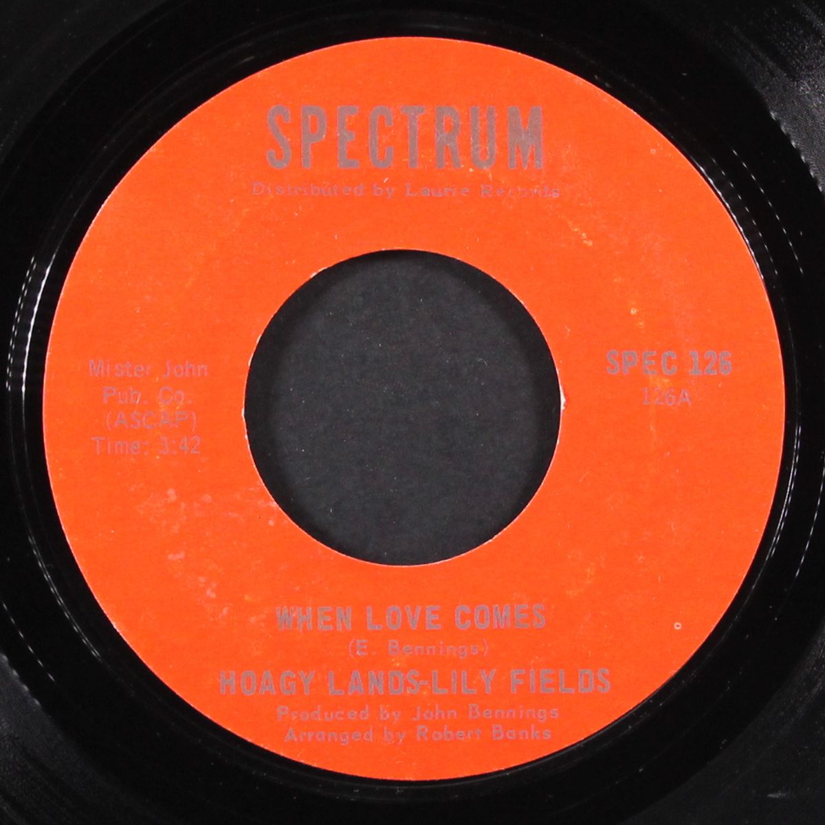 beautiful music / when love comes by HOAGY LANDS & LILY FIELDS