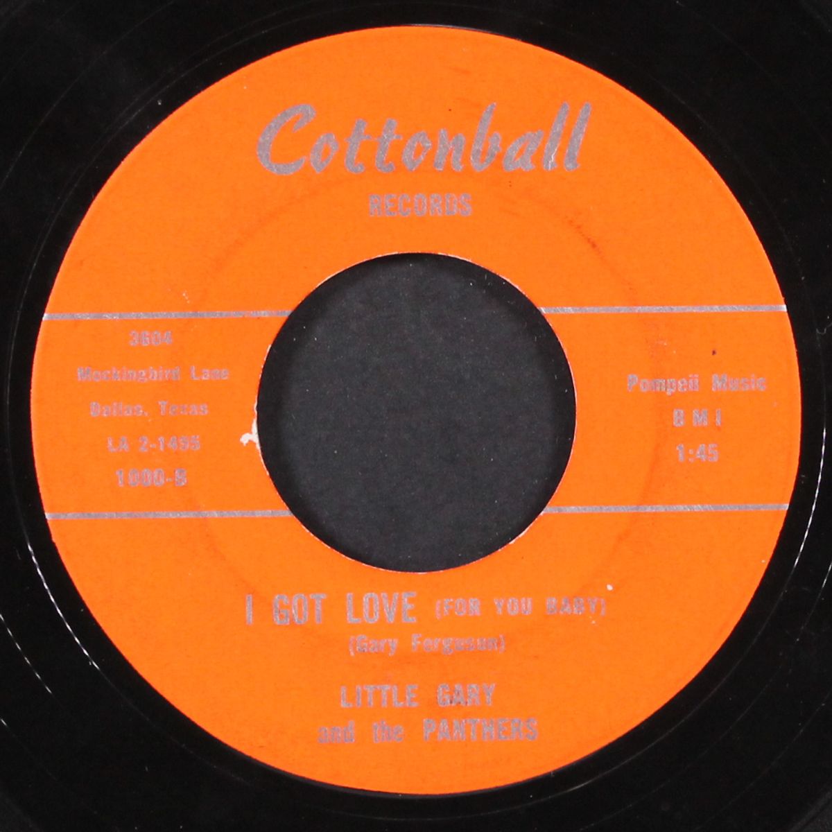 i feel good i / i got love by LITTLE GARY & PANTHERS