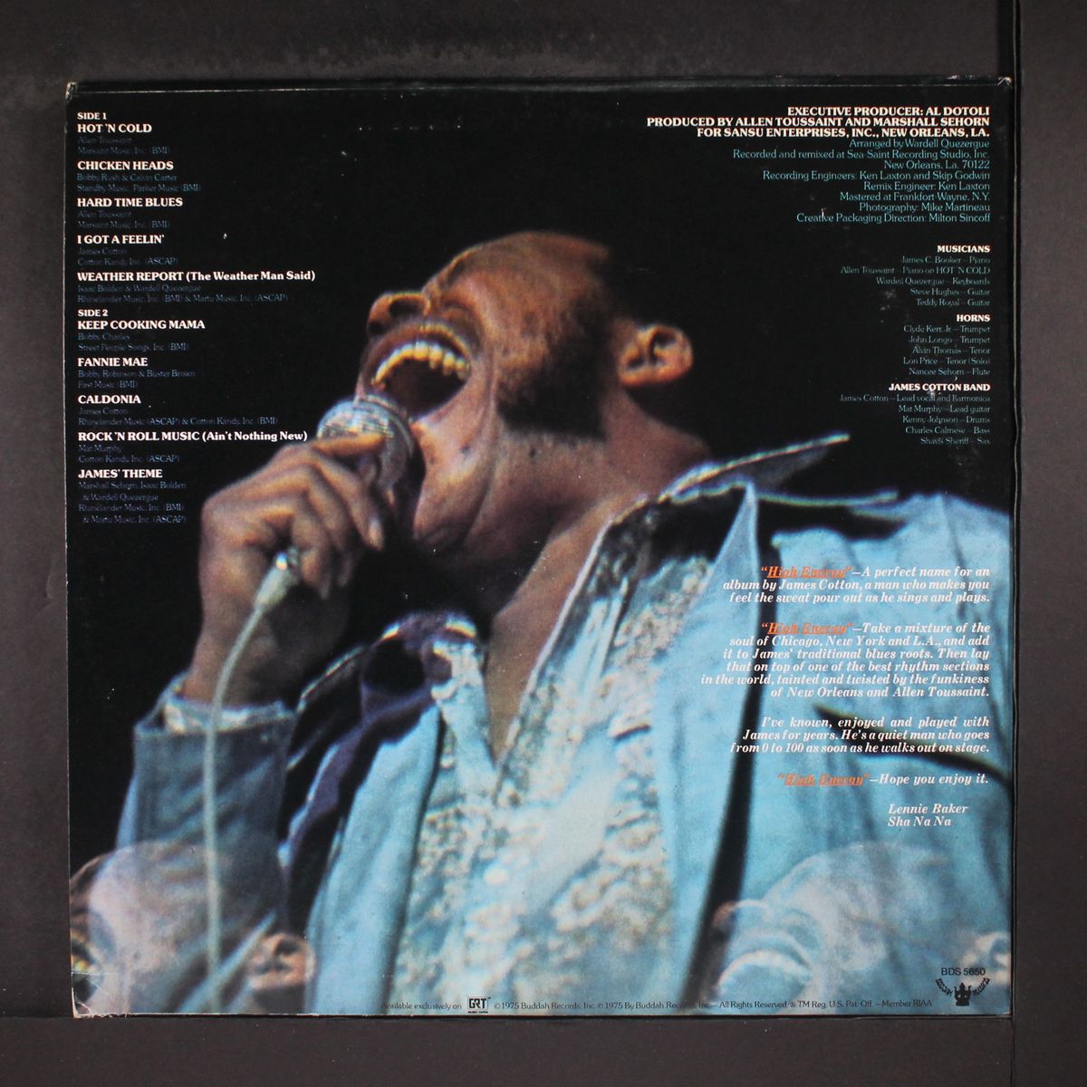 high energy by JAMES COTTON BAND