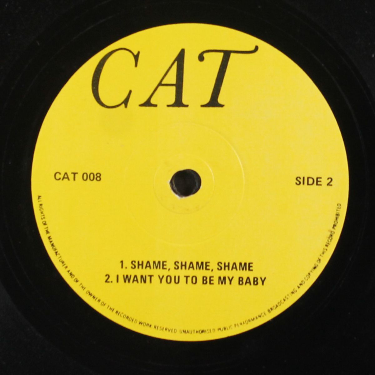 cat 8 by VARIOUS