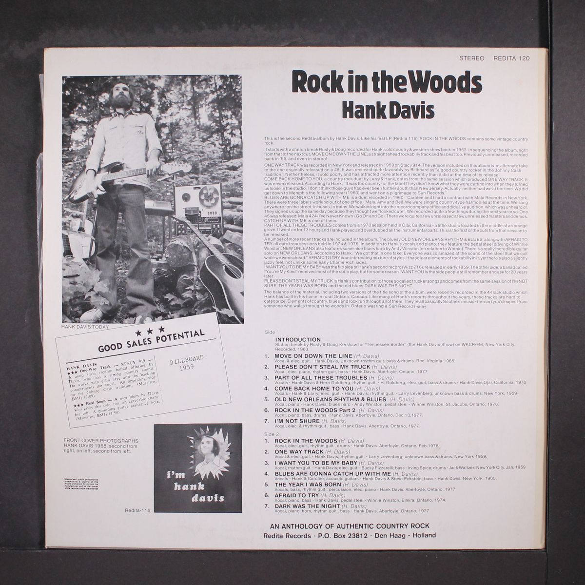 rock in the woods by HANK DAVIS