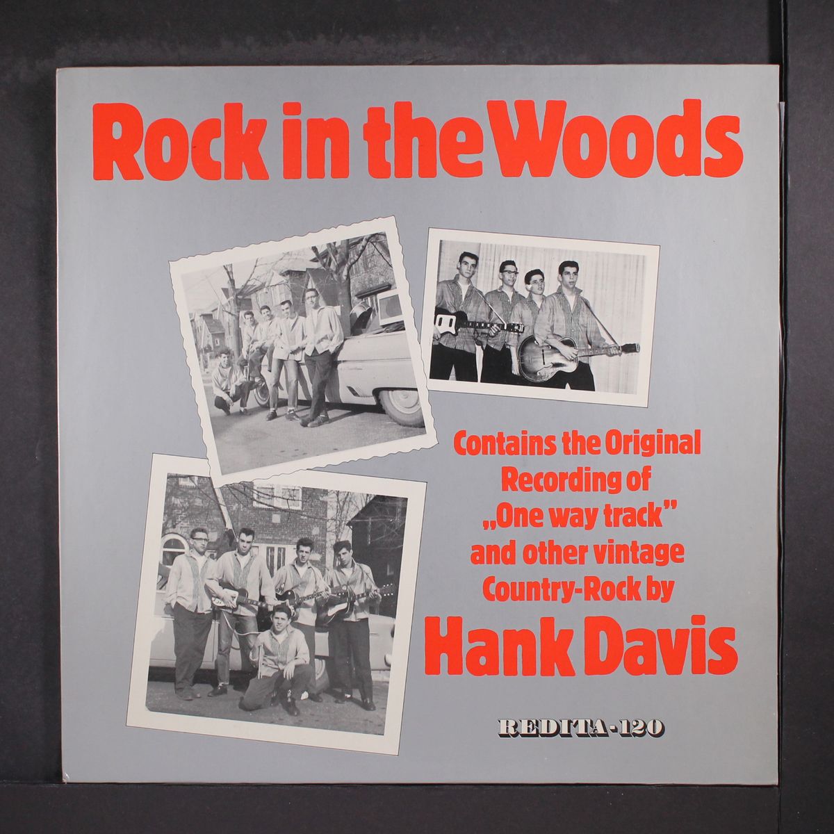 rock in the woods by HANK DAVIS