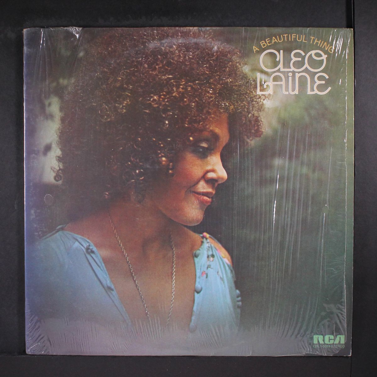 a beautiful thing by CLEO LAINE