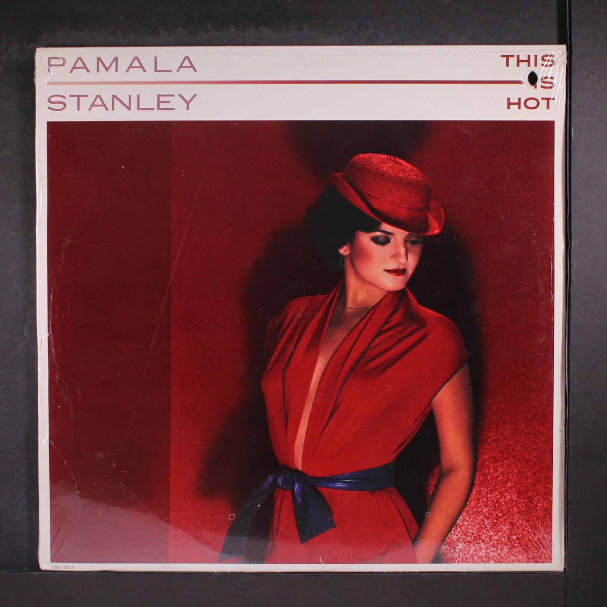 this is hot by PAMALA STANLEY