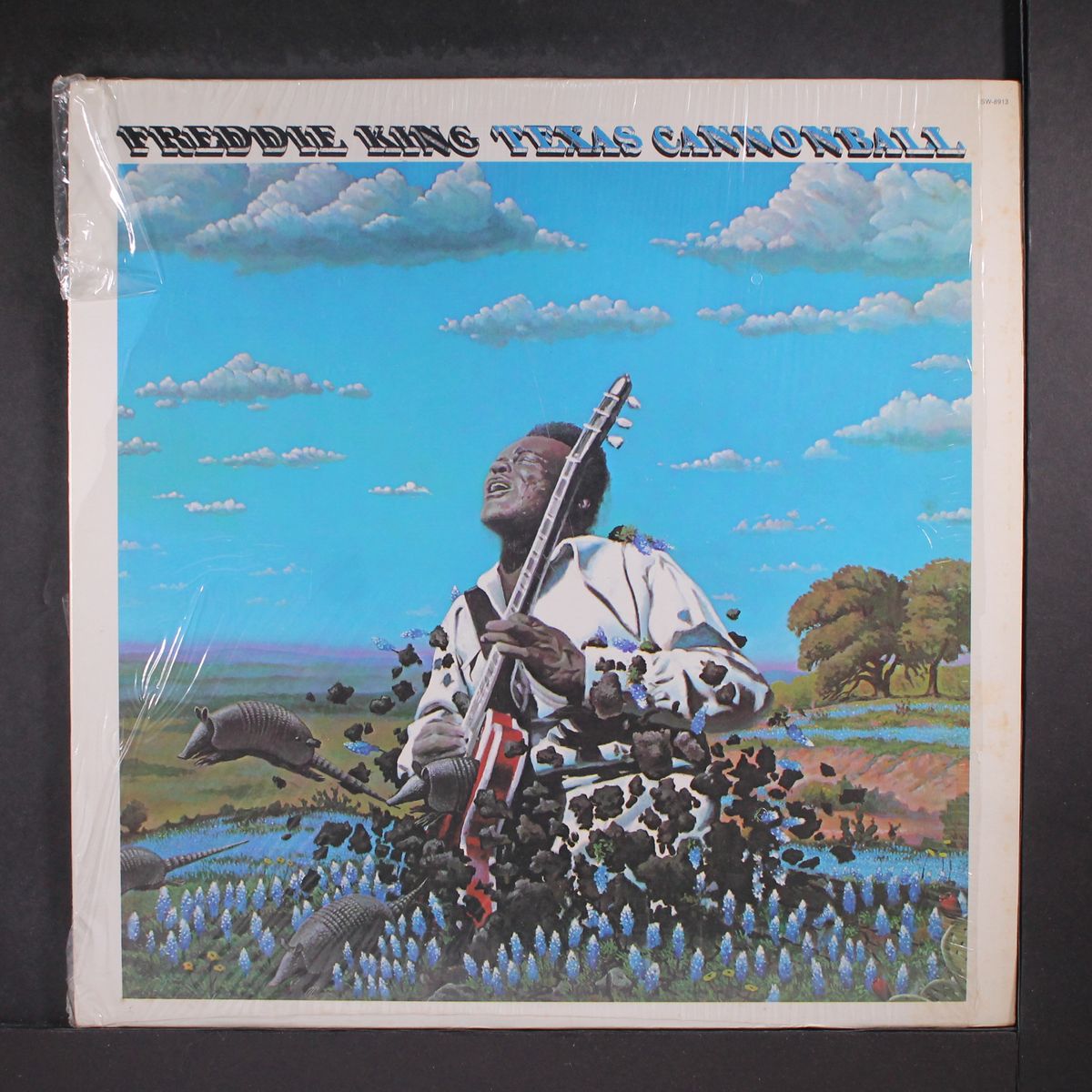 texas cannonball by FREDDIE KING