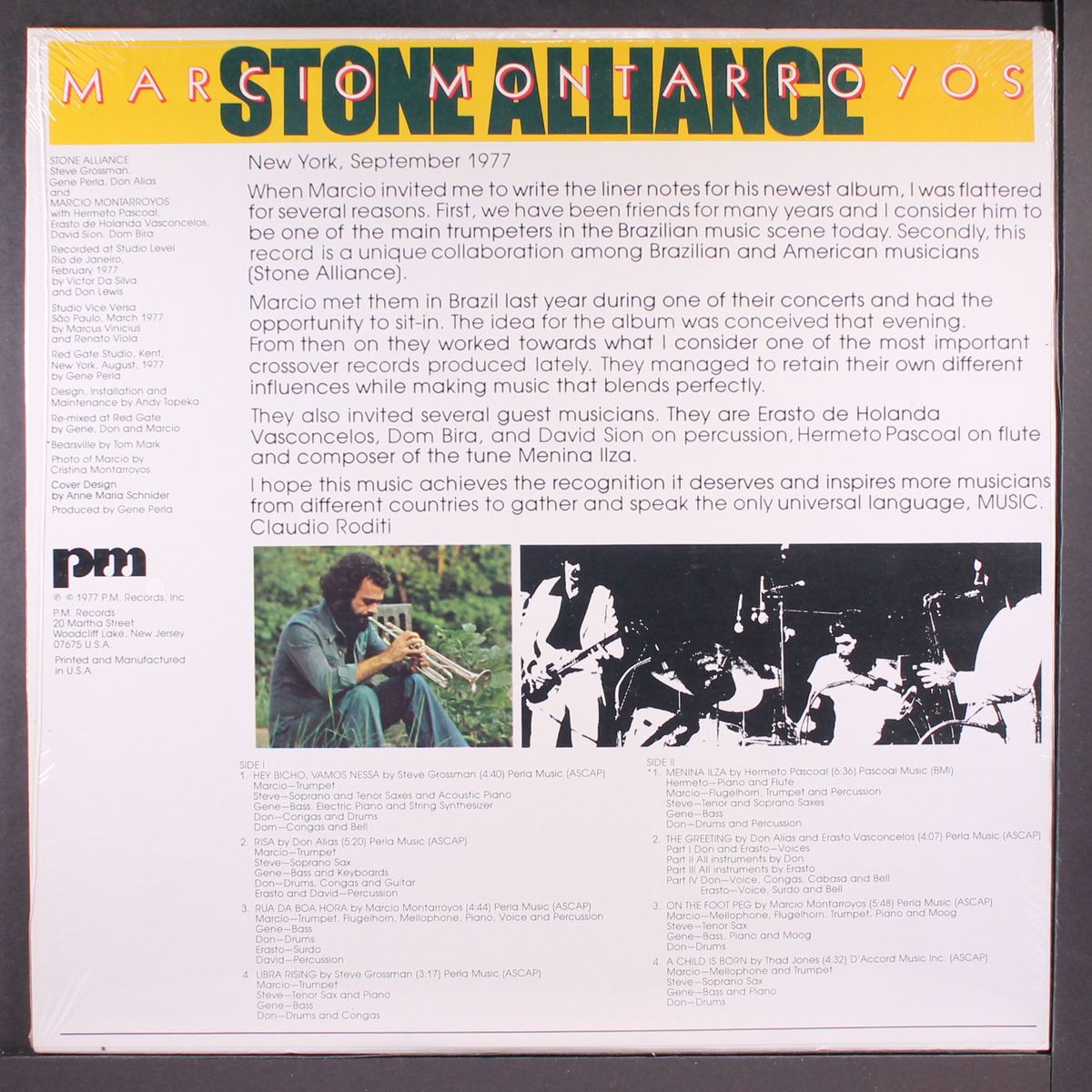 stone alliance by MARCIO MONTARROYOS