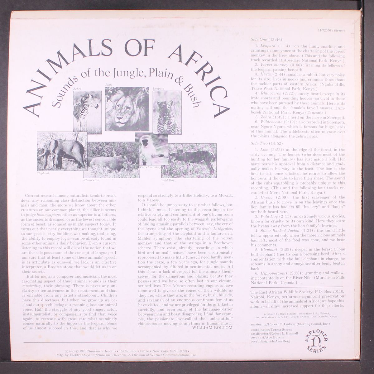 animals of africa - sounds of the jungle, plain & bush by ANIMALS OF AFRICA