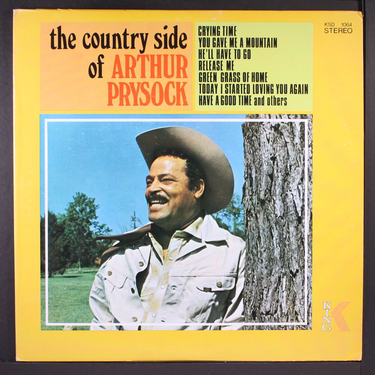 the country side of by ARTHUR PRYSOCK