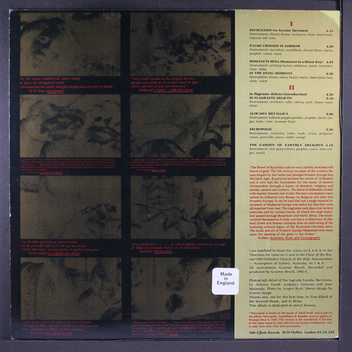 zamia lehmanni - songs of byzantine flowers by SPK