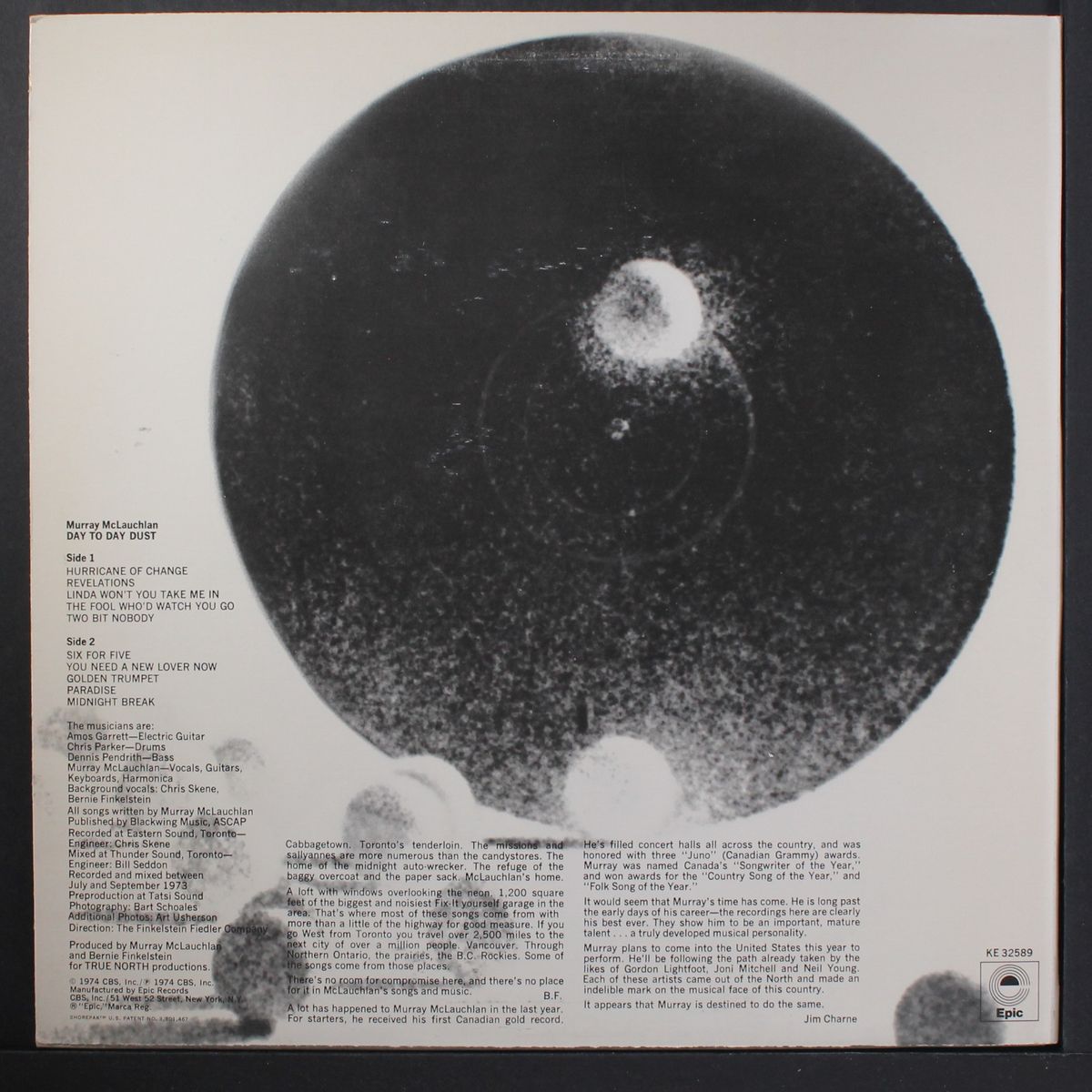 day to day dust by MURRAY MCLAUCHLAN