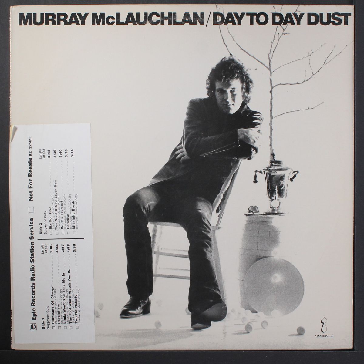 day to day dust by MURRAY MCLAUCHLAN
