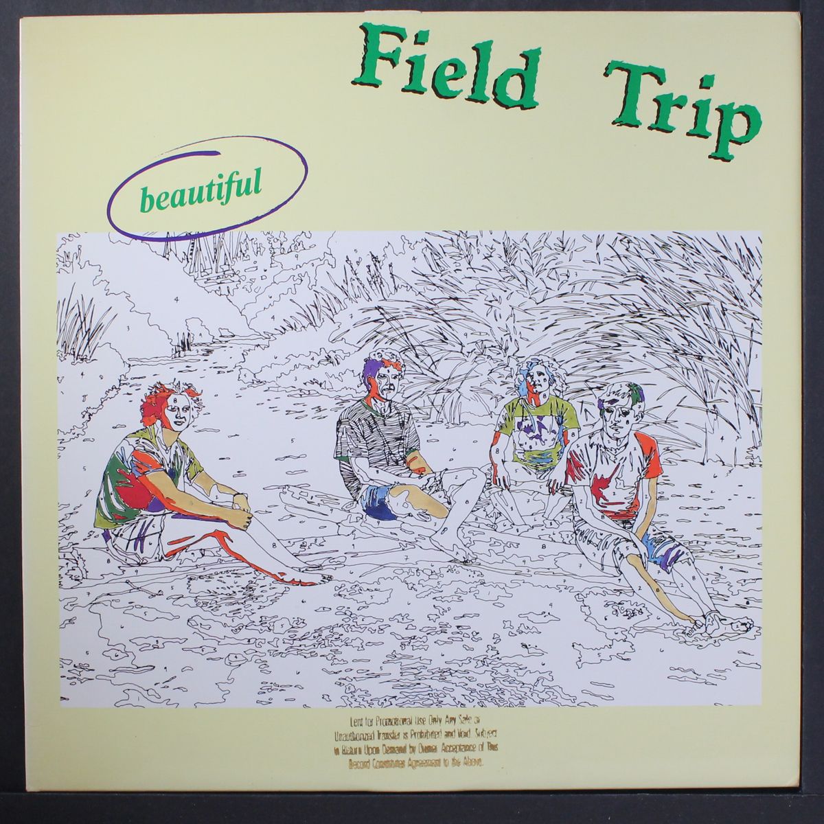 beautiful by FIELD TRIP