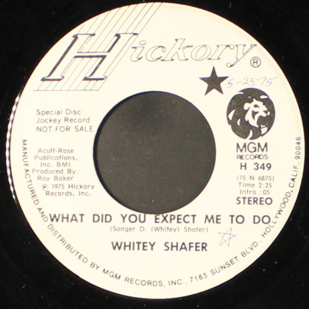 what did you expect me to do / please don't do that anymore by WHITEY SHAFER