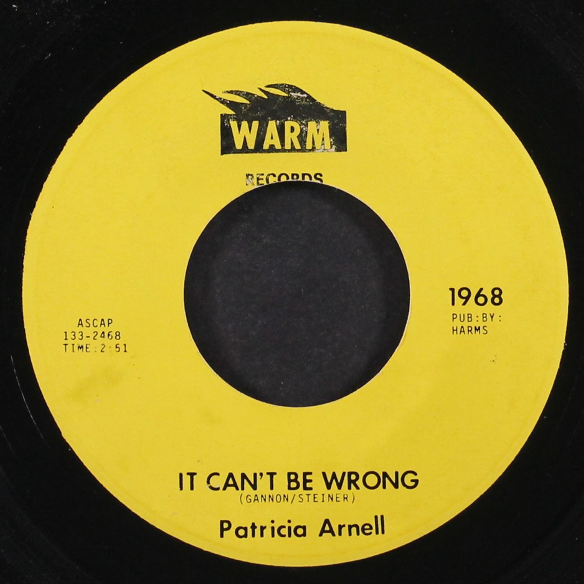 it can't be wrong / lost by PATRICIA ARNELL