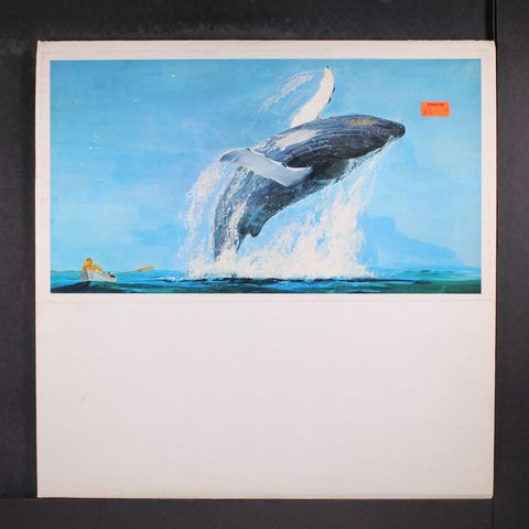 HUMPBACK WHALE