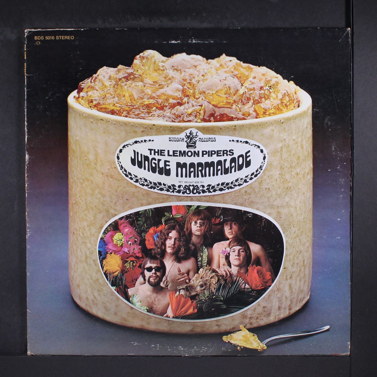 jungle marmalade by LEMON PIPERS