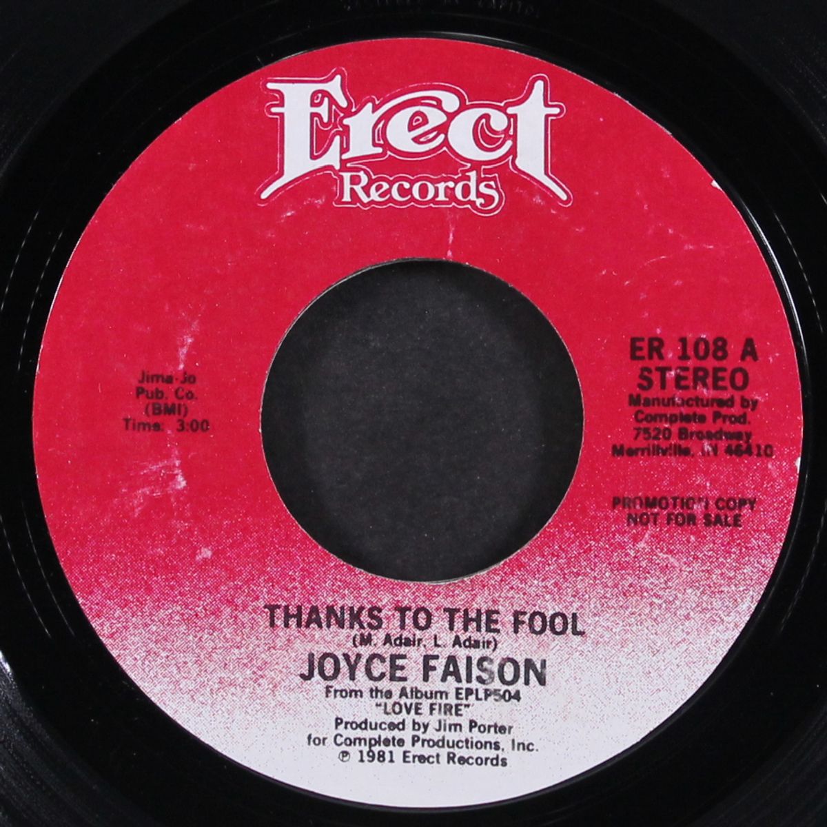 thanks to the fool by JOYCE FAISON