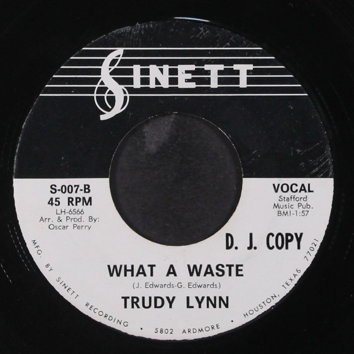 long live the blues / what a waste by TRUDY LYNN