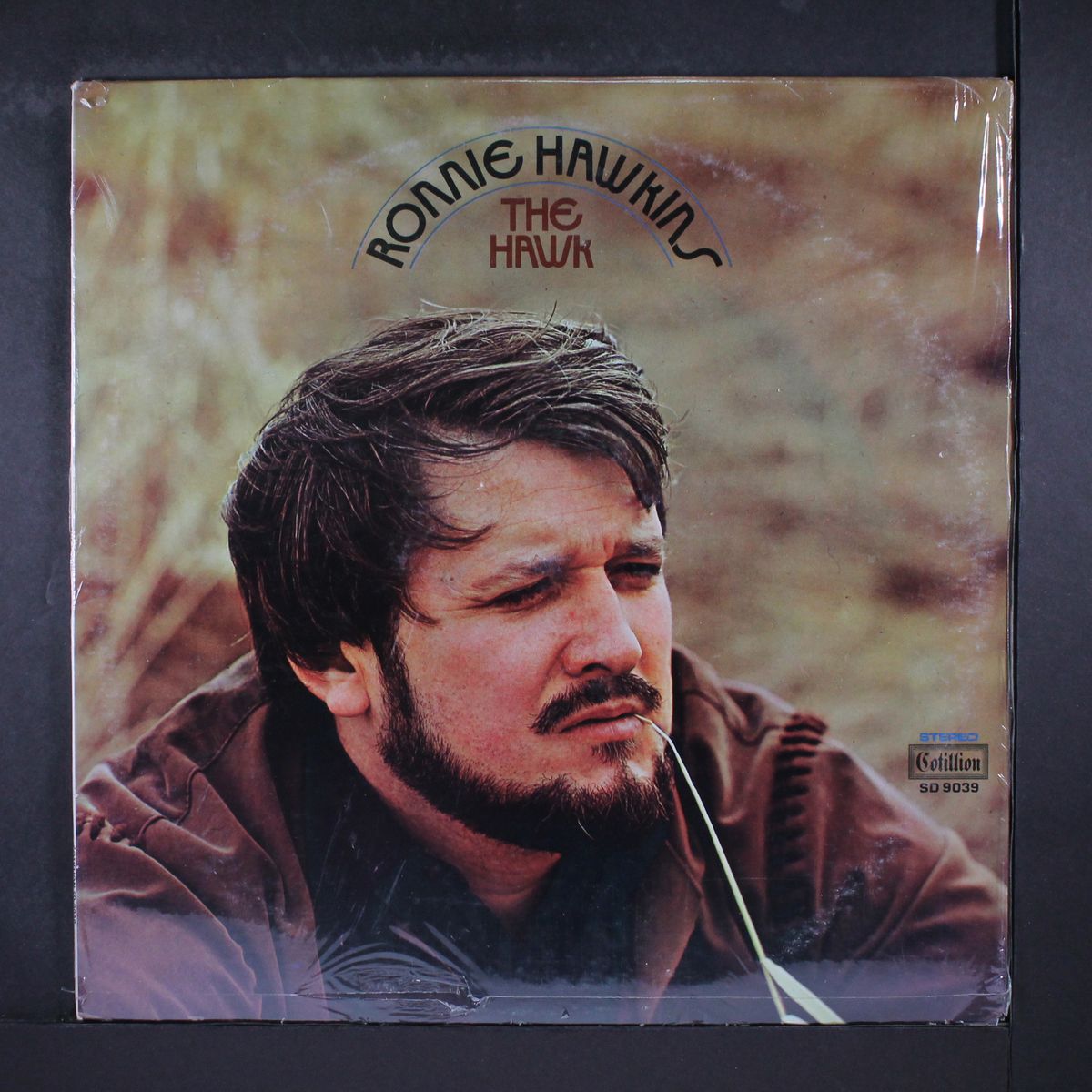 the hawk by RONNIE HAWKINS