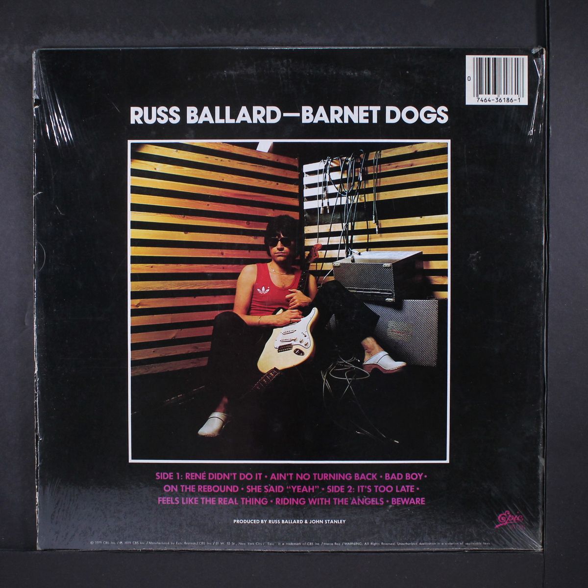 barnet dogs by RUSS BALLARD