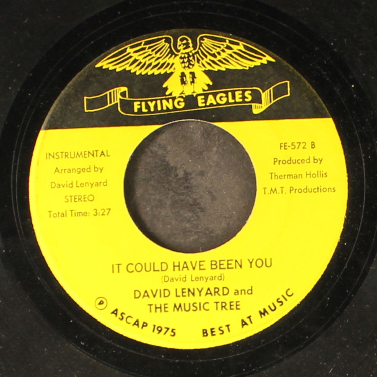 it could have been you / instro by DAVID LENYARD & MUSIC TREE