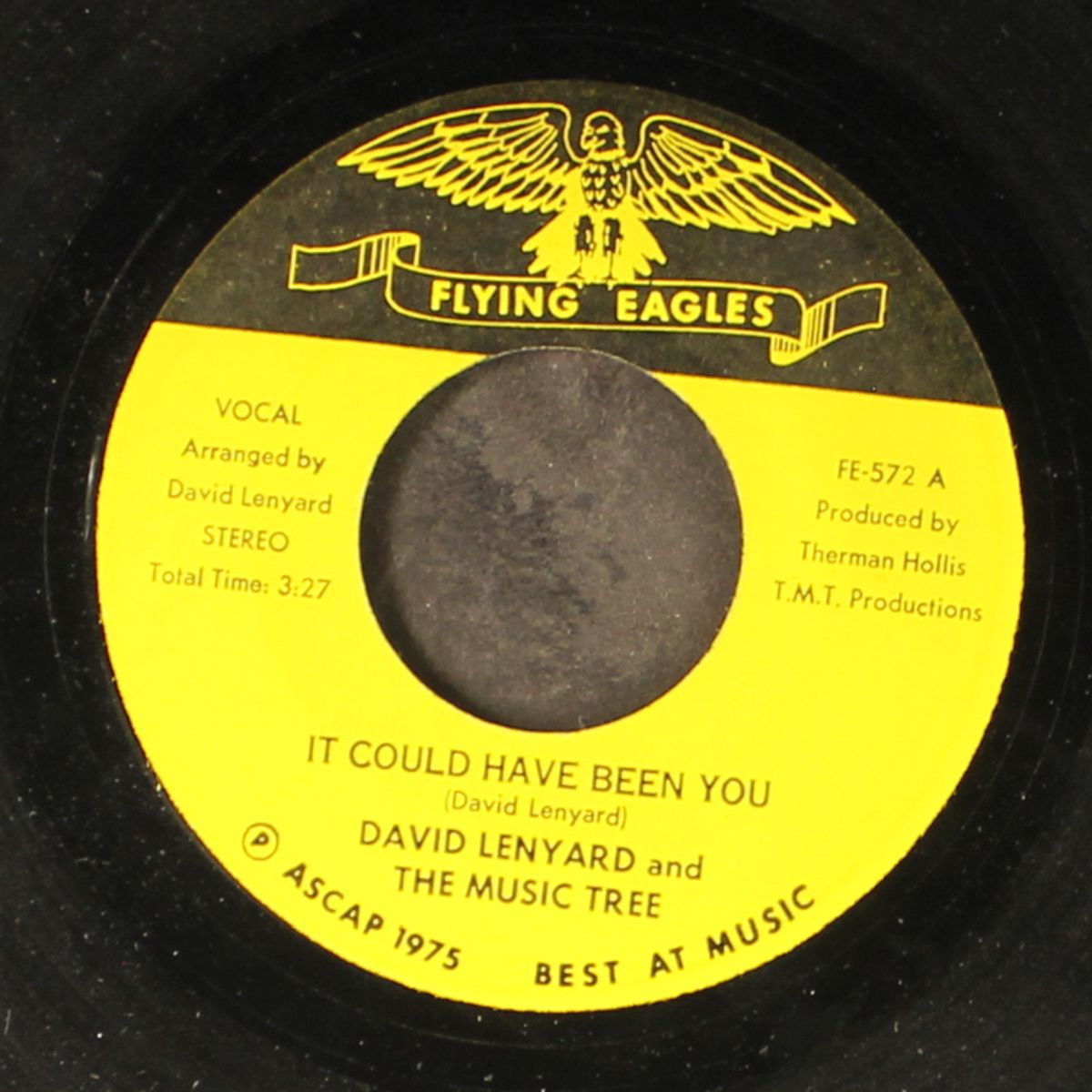 it could have been you / instro by DAVID LENYARD & MUSIC TREE