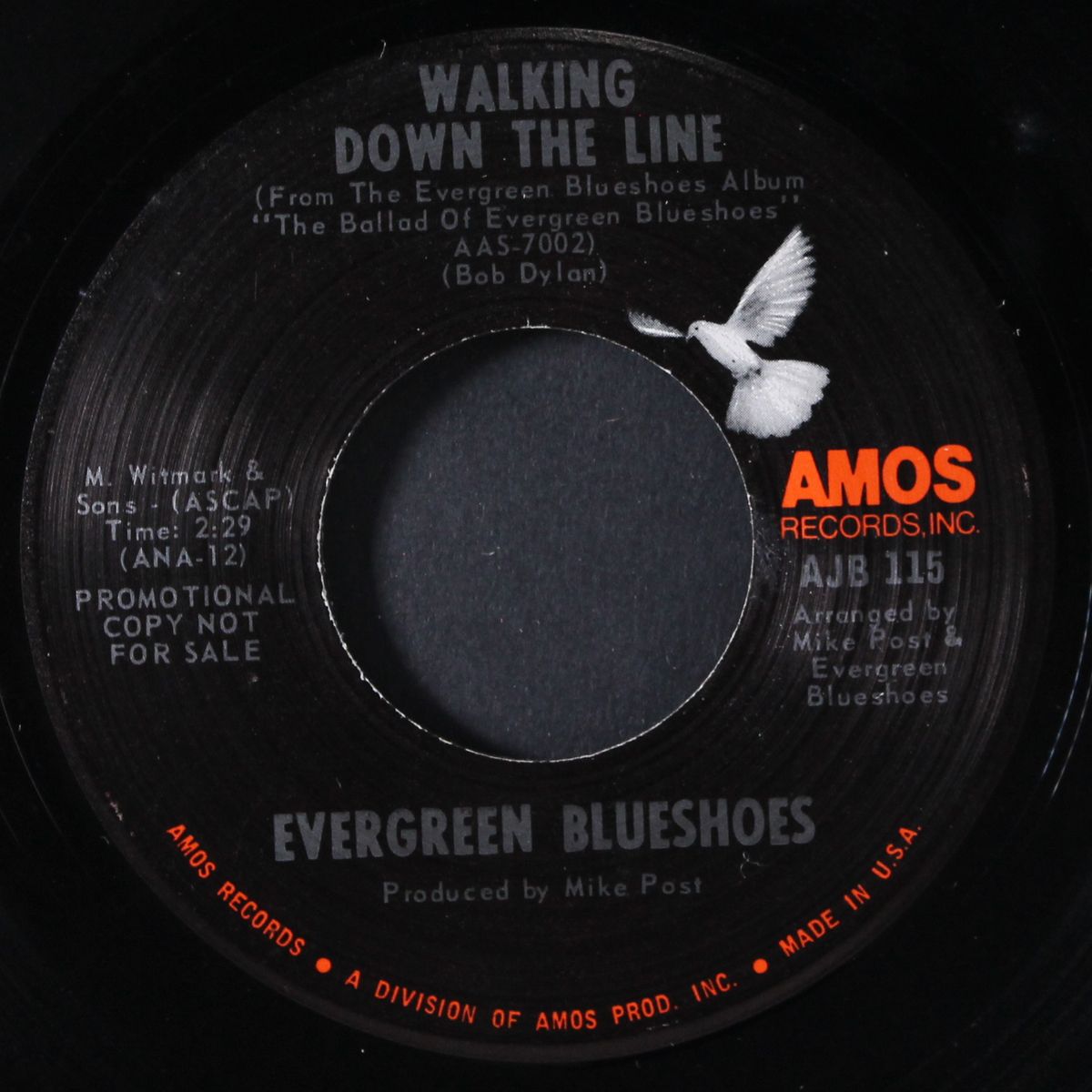 walking down the line by EVERGREEN BLUESHOES